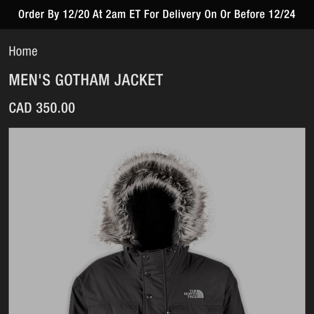 The North Face Gotham Jacket - Picture 10 of 11